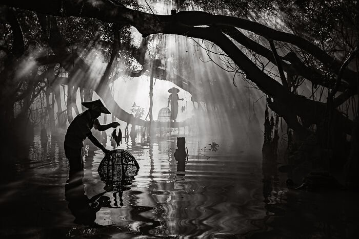 "Hands Of Time, Net Of Light" By Chester Ng (United States)