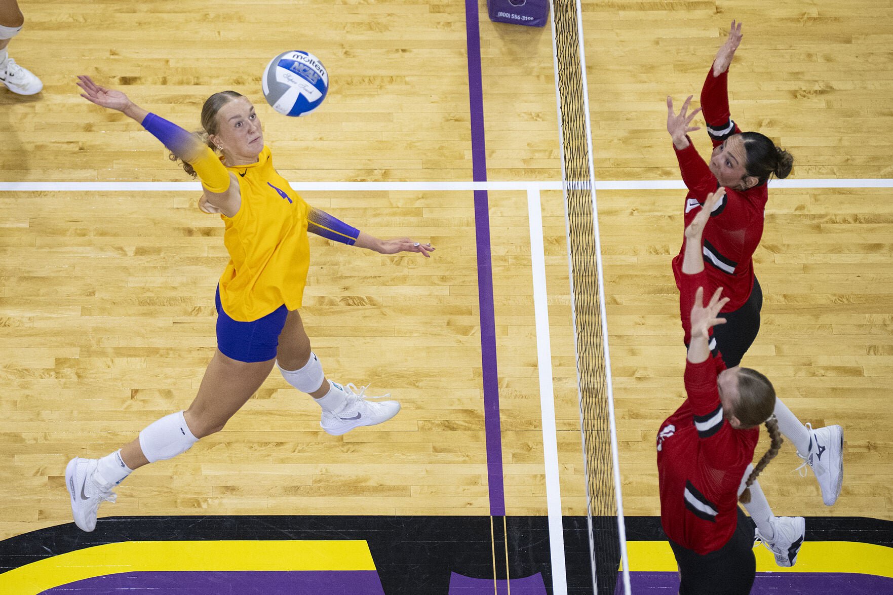 MSU VB vs MS 1.jpg