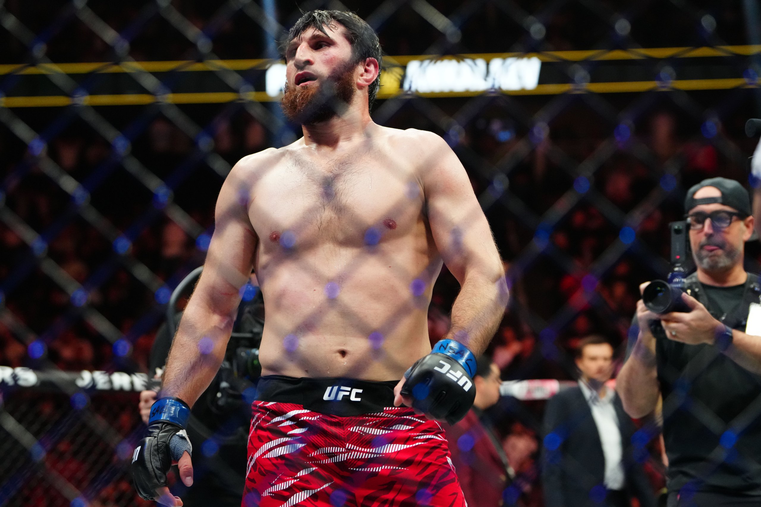 ufc light heavyweight rankings