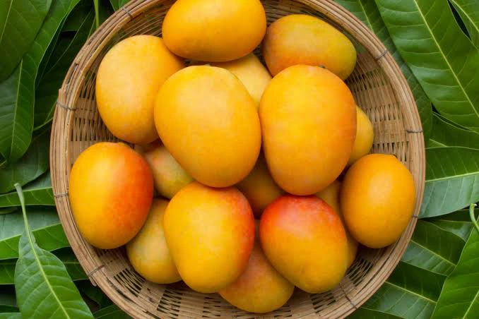 Health Benefits Of Eating Mango Regularly d3c773b4d71c4c8886077d609168b617 quality uhq format webp resize 720