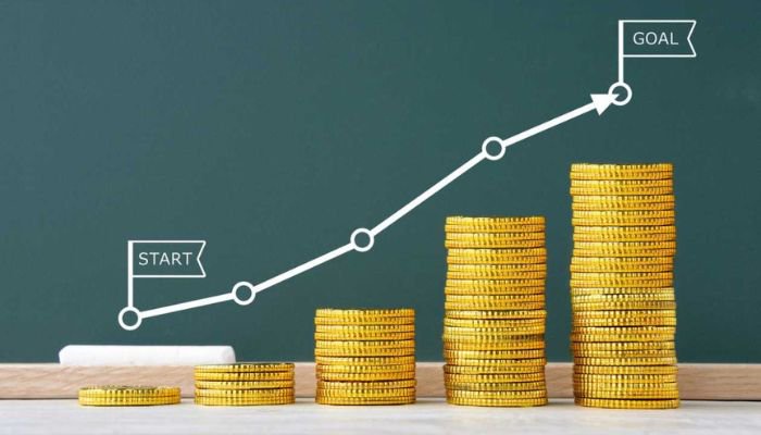 Money vs wealth: Why earning isnâ€™t the same as building wealth