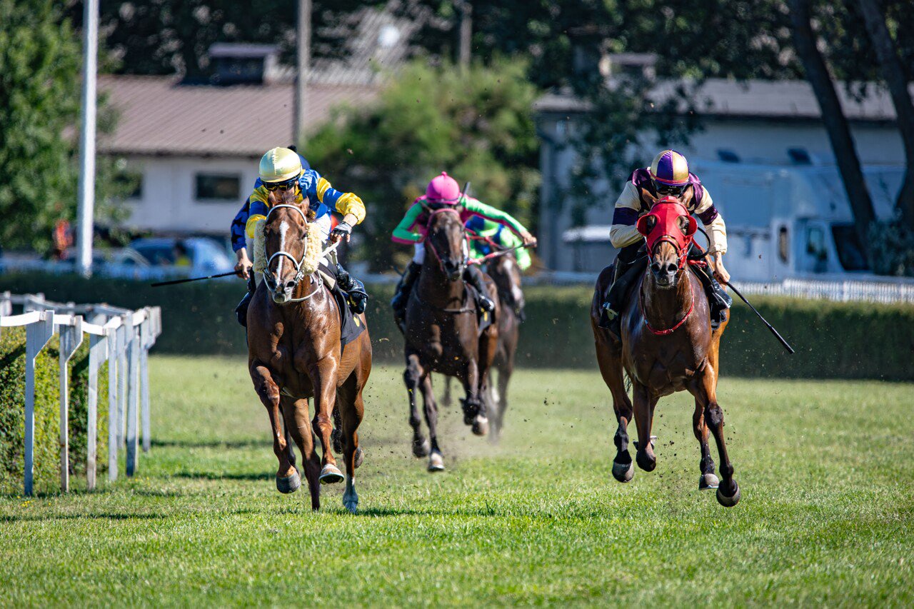Plusieurs hippodromes de France sont concernés par les changements annoncés par France Galop, tout comme celui de Divonne-les-Bains (Ain).
