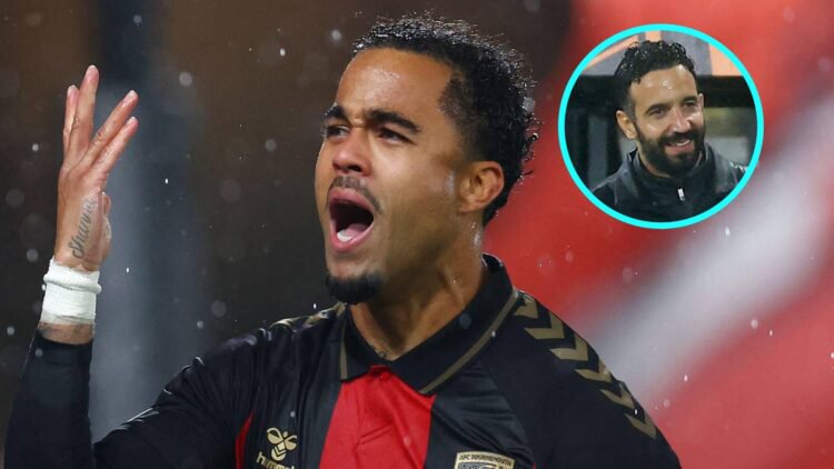 Bournemouth might just have earned their best ever result and Amorim can only laugh