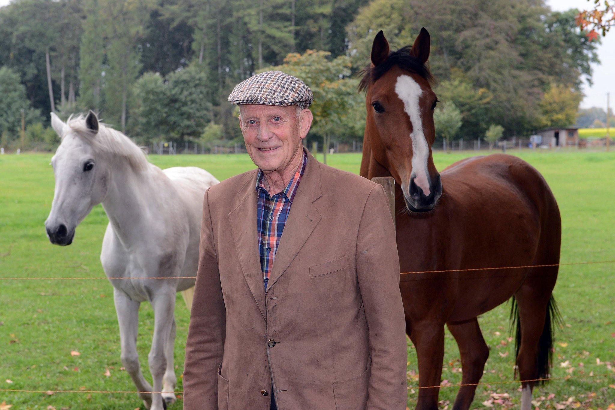 Die Pferde sind die große Passion von Fritz Ostmeyer, der in Versmold-Bockhorst zu Hause ist.