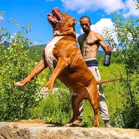 d5188fc1e6ad9335efa0cf5c98ea5f67?quality=hq&format=webp&resize=720&resize=720