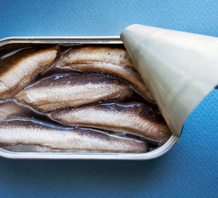5 Reasons Why You Should Eat Sardine Fish Regularly Opera News
