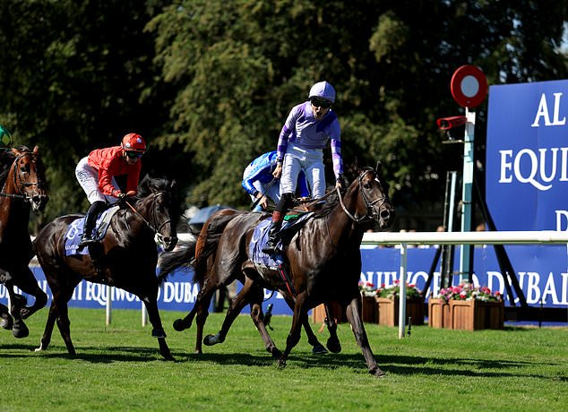 Comanche Brave will head to the Breeders´ Cup (Nigel French/PA)
