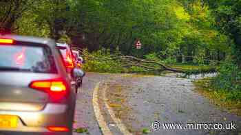 Storm Austen - live: New Met Office warnings after power cuts as airports shut