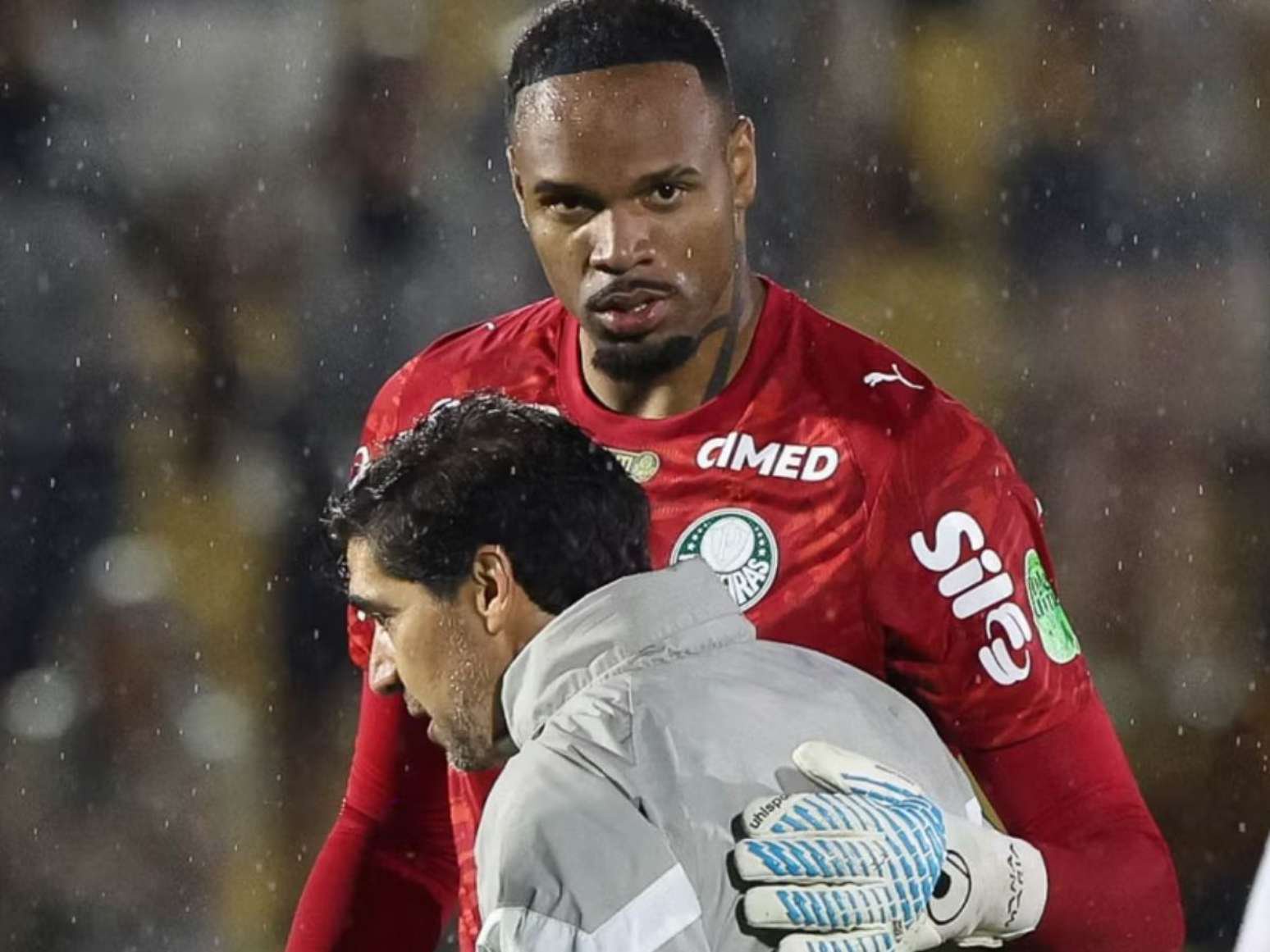 Foto: Cesar Greco/ Palmeiras
