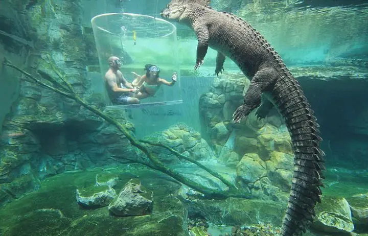 Most Disturbing Pictures Have Never Seen