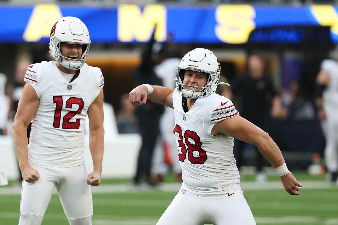 Arizona Cardinals v Los Angeles Rams