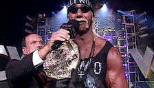 Hollywood Hulk Hogan nWo, Arn Anderson WCW