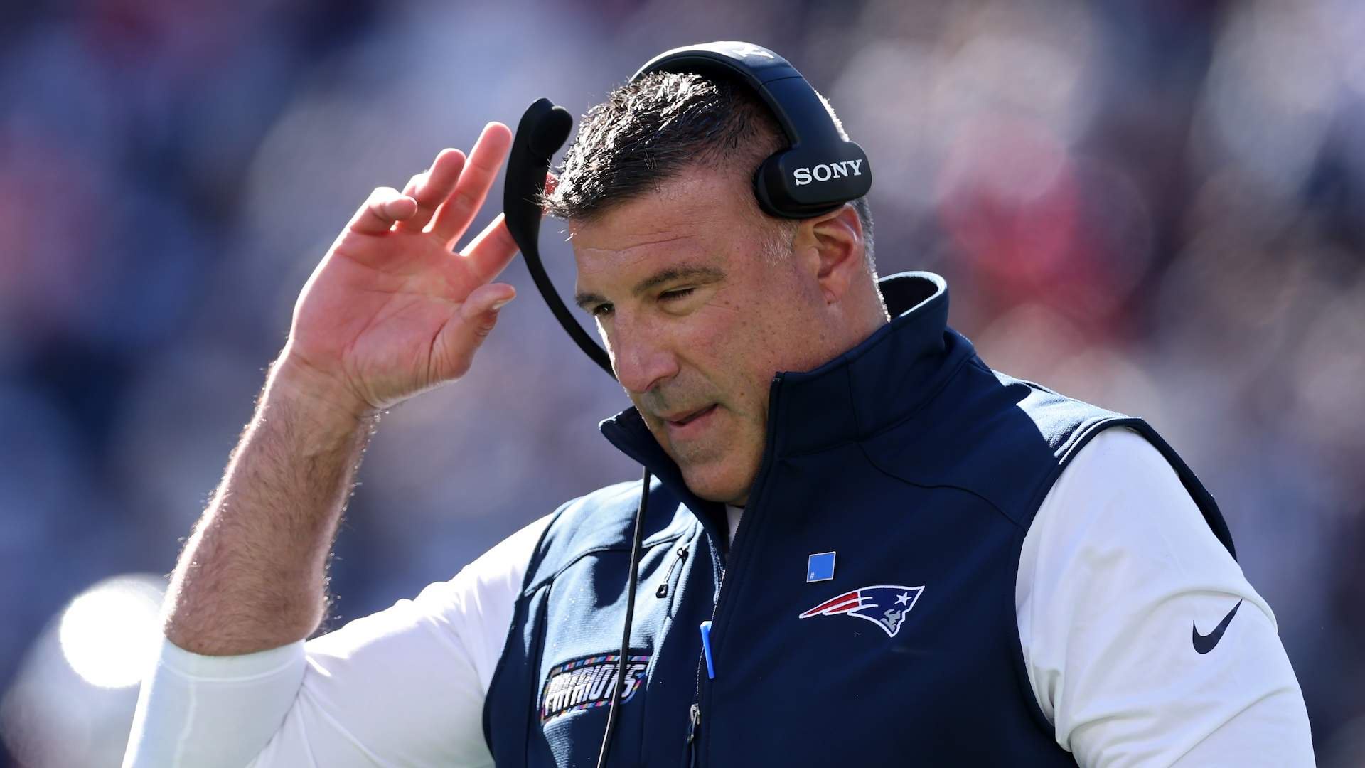 MIke Vrabel New England Patriots