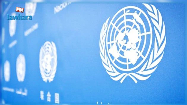 موقف الأمم المتحدة من مشروع الدستور التونسي