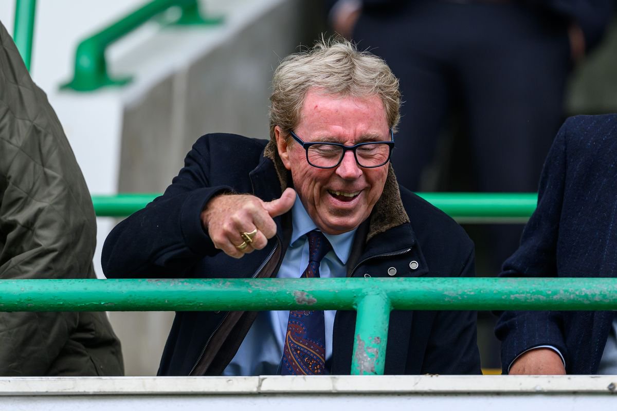 Harry Redknapp reacts
