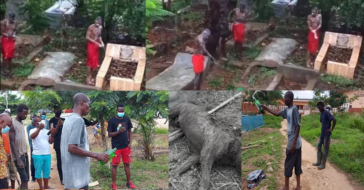 Photos: 2 'Sakawa' Boys Secretly Buries Bulldog Alive By In Takoradi