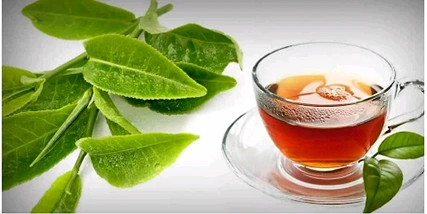 5 Healthy Benefits Of Boiling Guava Leaves And Drinking The Tea Regularly d92d272a32004882b86b4d83758524e6 quality uhq format webp resize 720