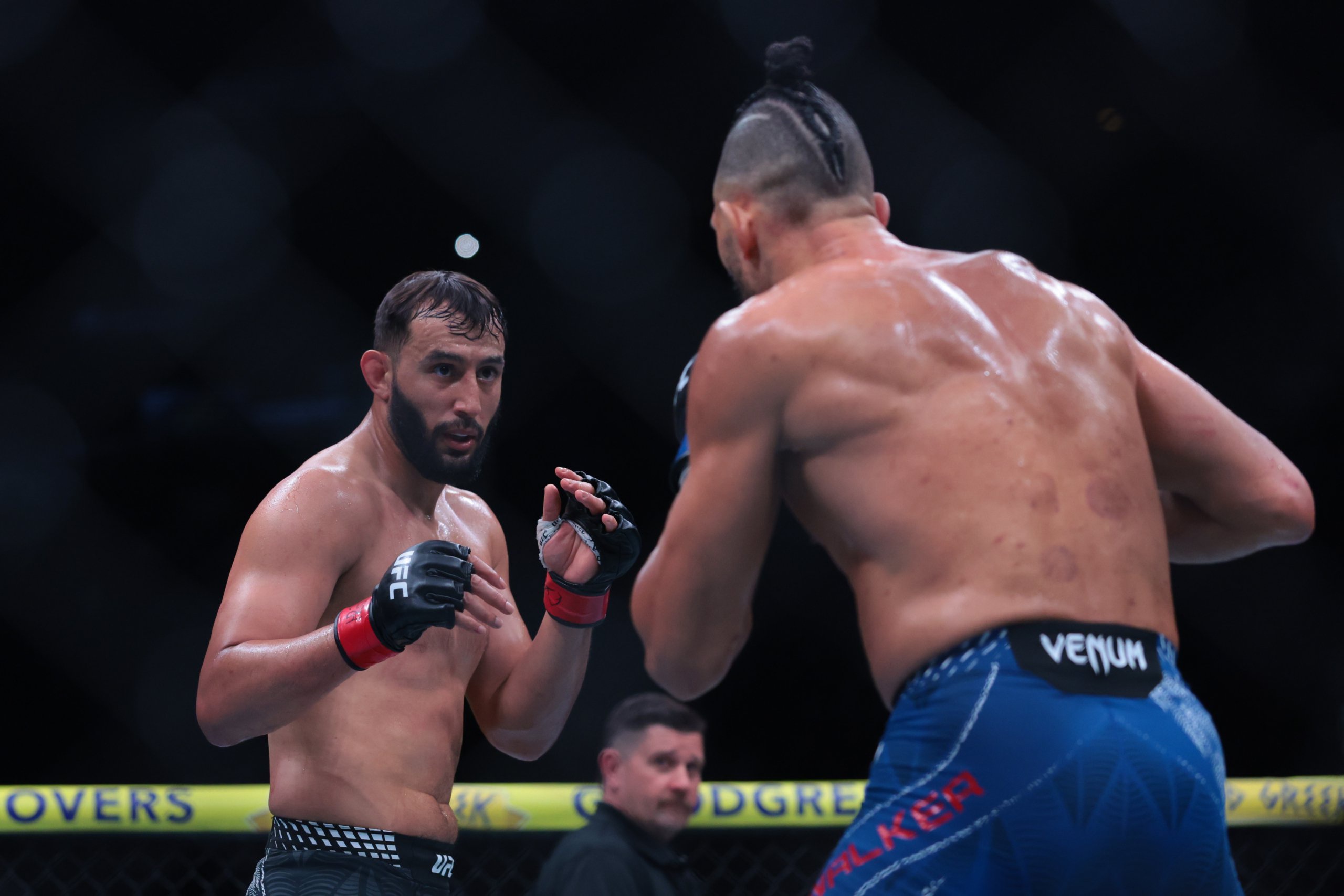 UFC Light Heavyweight Rankings: Updated Top 10 Following UFC 333