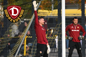 Dynamo und seine Keeper: Warum Grill spielt und die anderen nicht