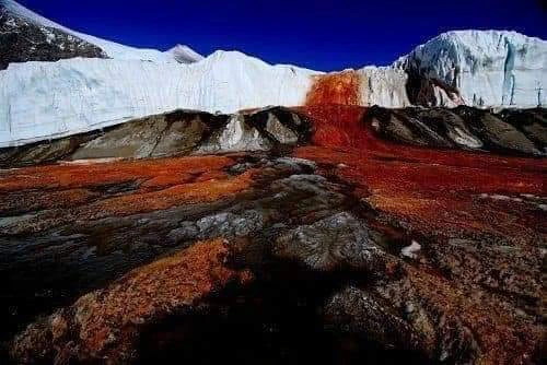 daa95881f91bea2d3a45a10944c8ef05?quality=uhq&format=webp&resize=720