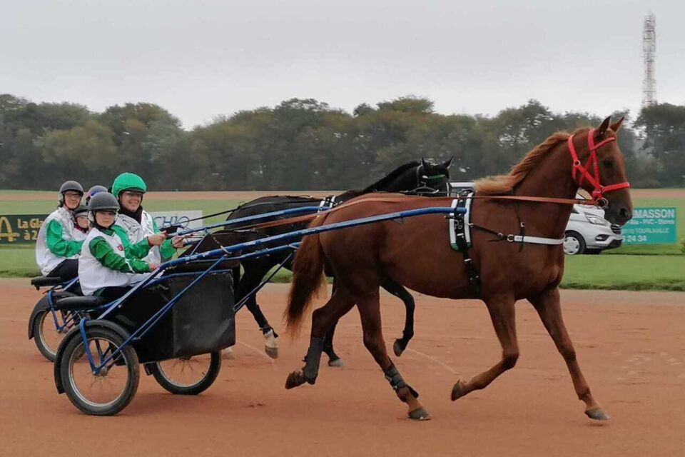 Une quinzaine d'heureux spectateurs découvriront l'adrénaline du trot attelé.