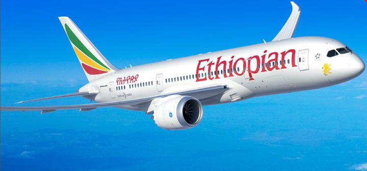 Privatisation d'Ethiopian : Addis Abeba ne veut plus vendre sa poule aux  œufs d'or