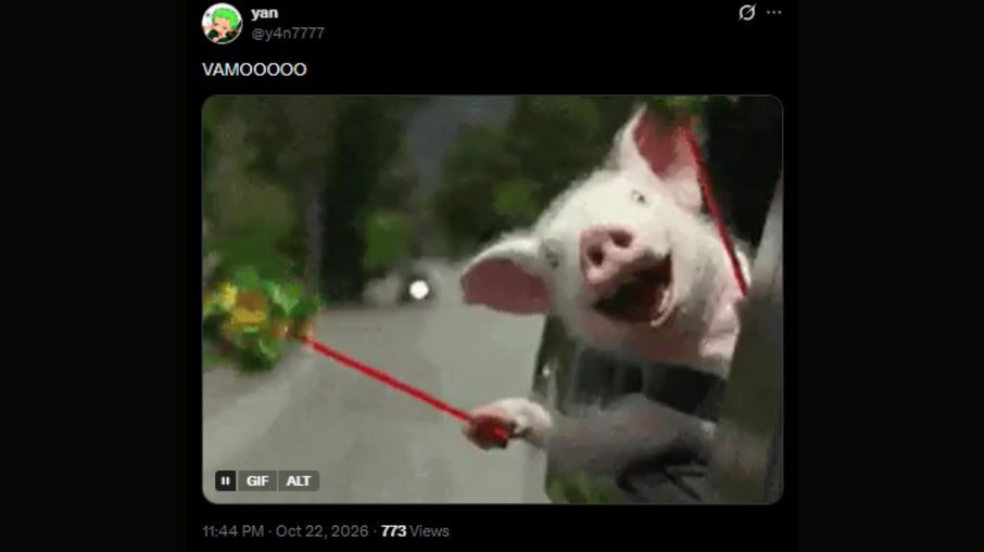 Memes fizeram parte da repercussão palmeirense da queda do Flamengo