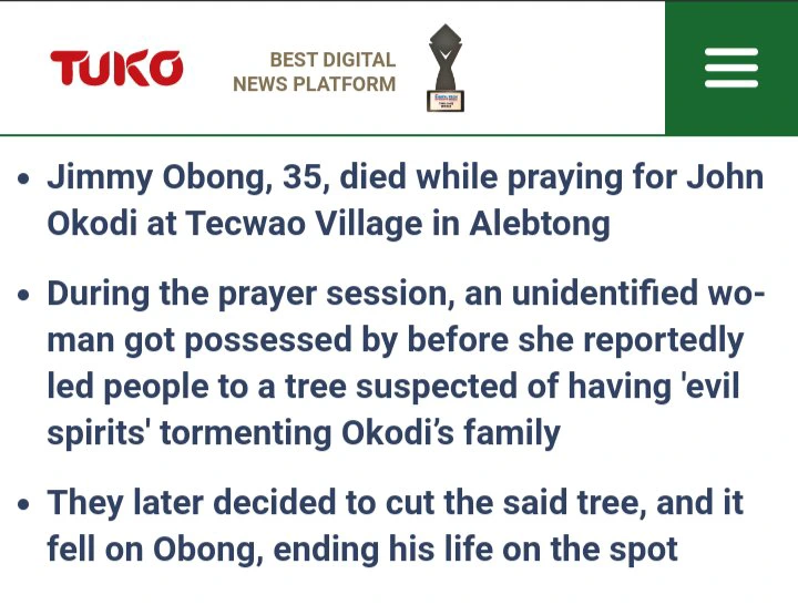 Pastor dies after a tree he was casting demons from fall on him