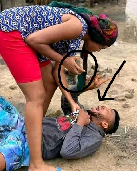 dc73b2892d4d4f34789268e02db2da0a?quality=uhq&format=webp&resize=720