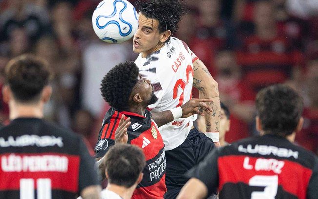 Palmeiras é finalista da Copa Libertadores