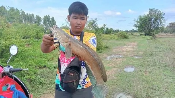 Chayathorn Thankrathok was lucky to survive after the accident when he was fishing