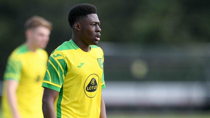 Chelsea complete free transfer for Norwich City's Alex Matos
