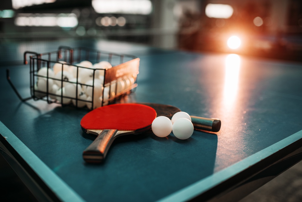 most expensive ping pong paddles