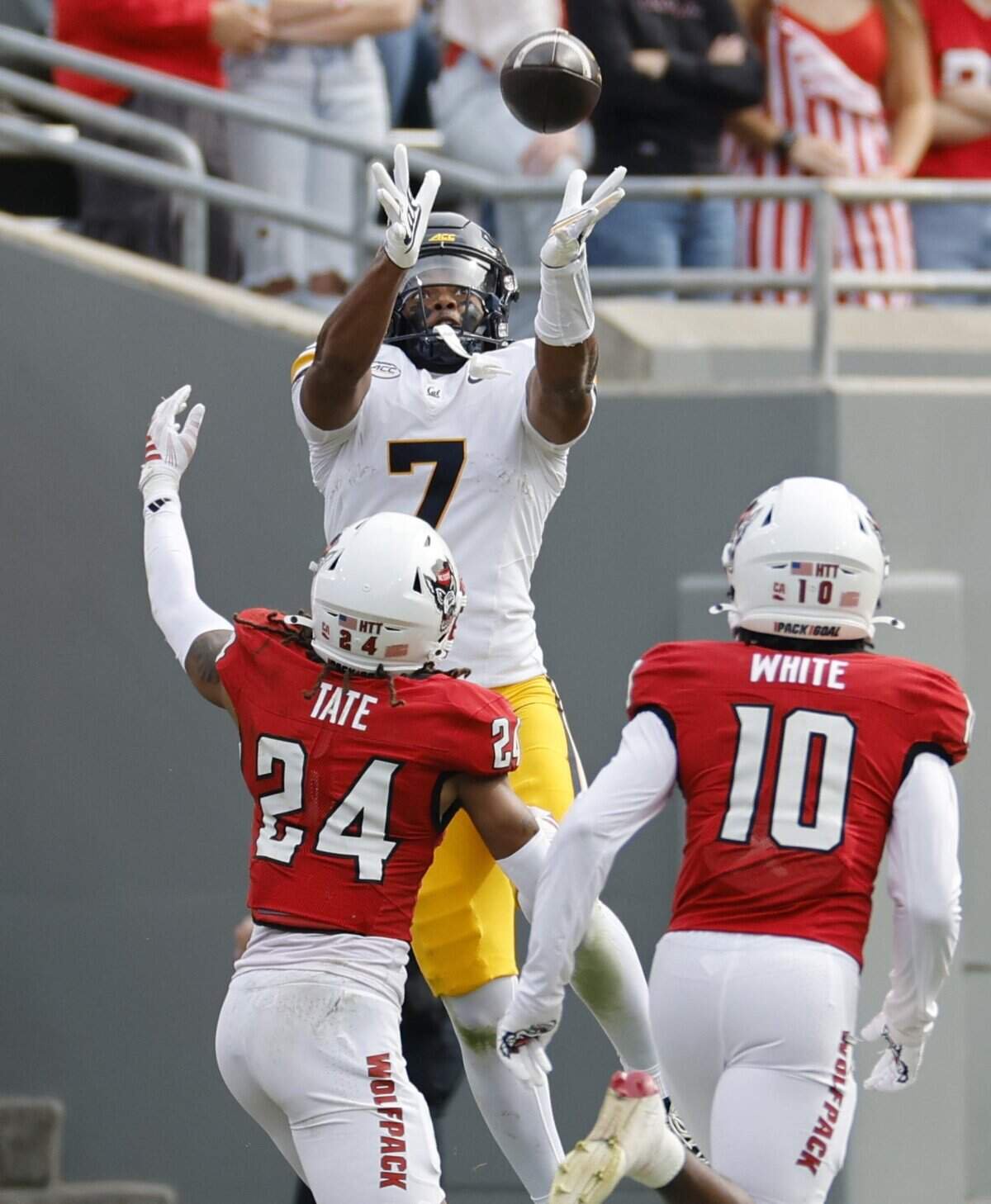 California wide receiver Chase Hendricks (7) pulls in a 30-yard touchdown reception as N.C. State’s Michael Tate (24) and Ty White (10) defend in the first half of N.C. State’s game against California at Cater-Finley Stadium in Raleigh, N.C., Saturday, Oct. 31, 2026.