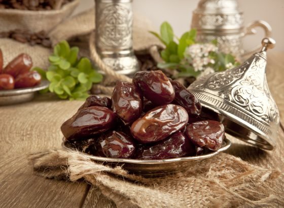 Elles Sont Riches En Acides Aminés