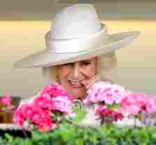Queen Camilla at the Royal Ascot 2024 at Ascot Racecourse on June 22, 2024 in Ascot, England | Source: Getty Images