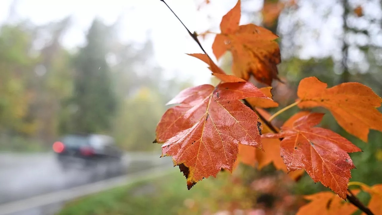 Frost, Sturm, Regen, Schnee: Der Herbst bleibt ungemütlich
