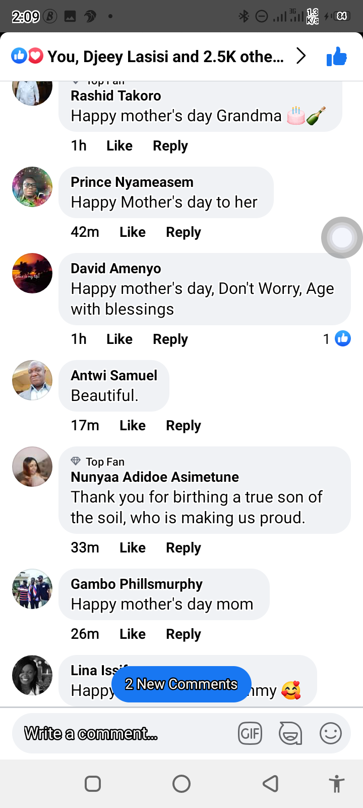 Massive reaction after Hon. Peter Amewu show off his mother. 13