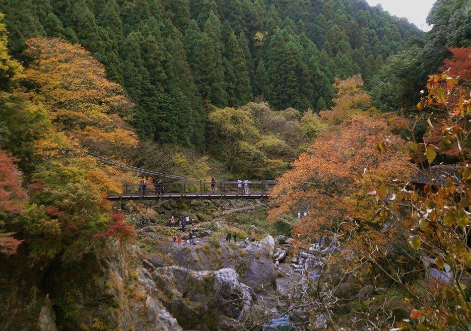 Ngarai Hatonosu, satu tempat wisata alam sekitar Tokyo Jepang yang cocok dikunjungi saat musim panas.