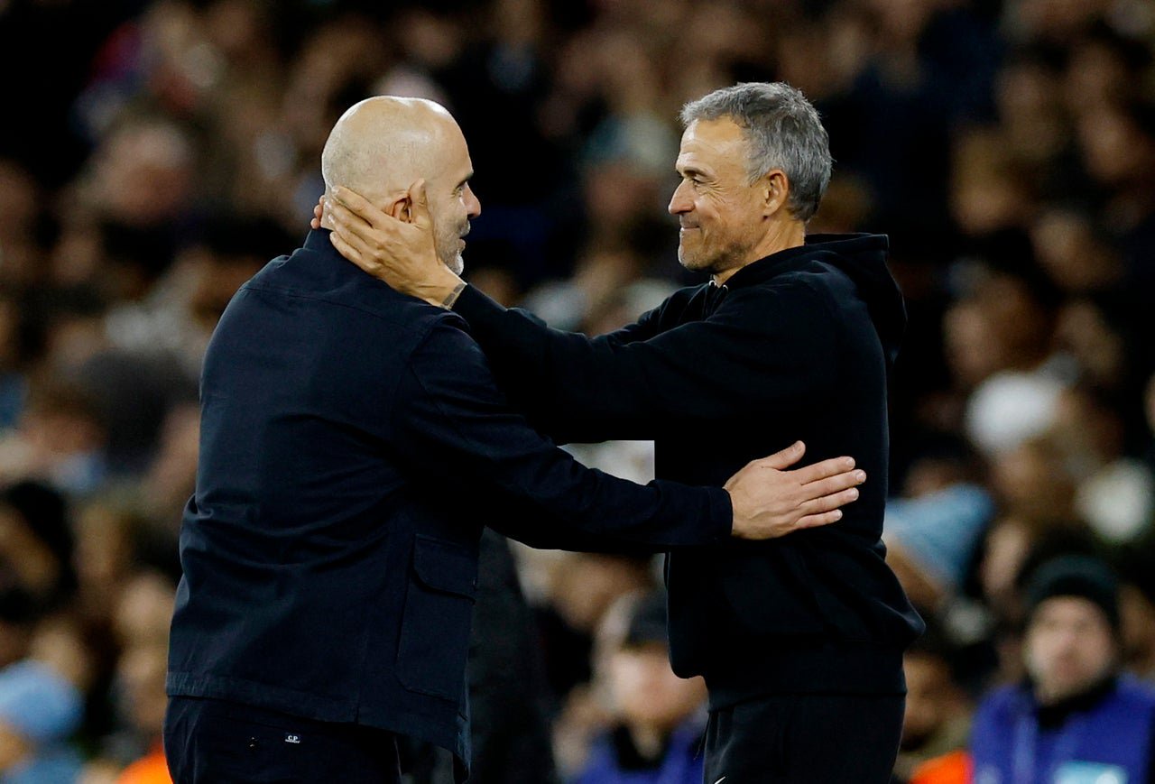 Luis Enrique admitted his PSG team were fortunate to escape a Man City comeback in the Champions League (Reuters)