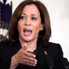 Democrats Run Focus Groups to Figure Out Why People Don't Like Kamala Harris and End Up Learning the Brutal Truth