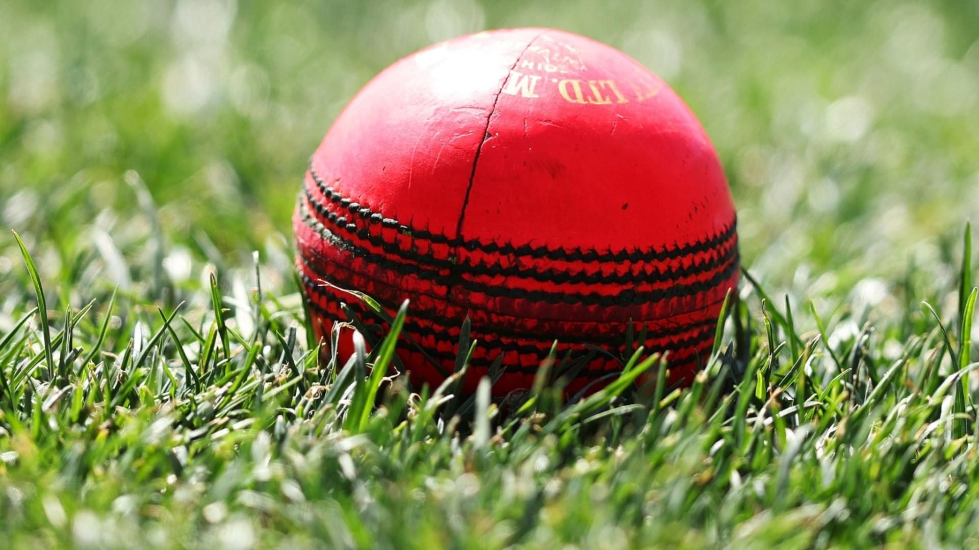 Pink cricket ball
