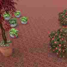 Red decorative floor tiles with a potted plant and small potted green plants. There are also flowering bushes in the scene