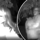 Oregon kidnapping suspect arrested after attack was caught on doorbell camera