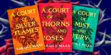 Custom image of the Court of Thorns and Roses series book covers