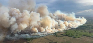 Canadian wildfires trigger air quality alerts across 4 U.S. states