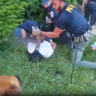 Ohio K9 officer on leave after video appears to show police dog attacking man lying on stomach