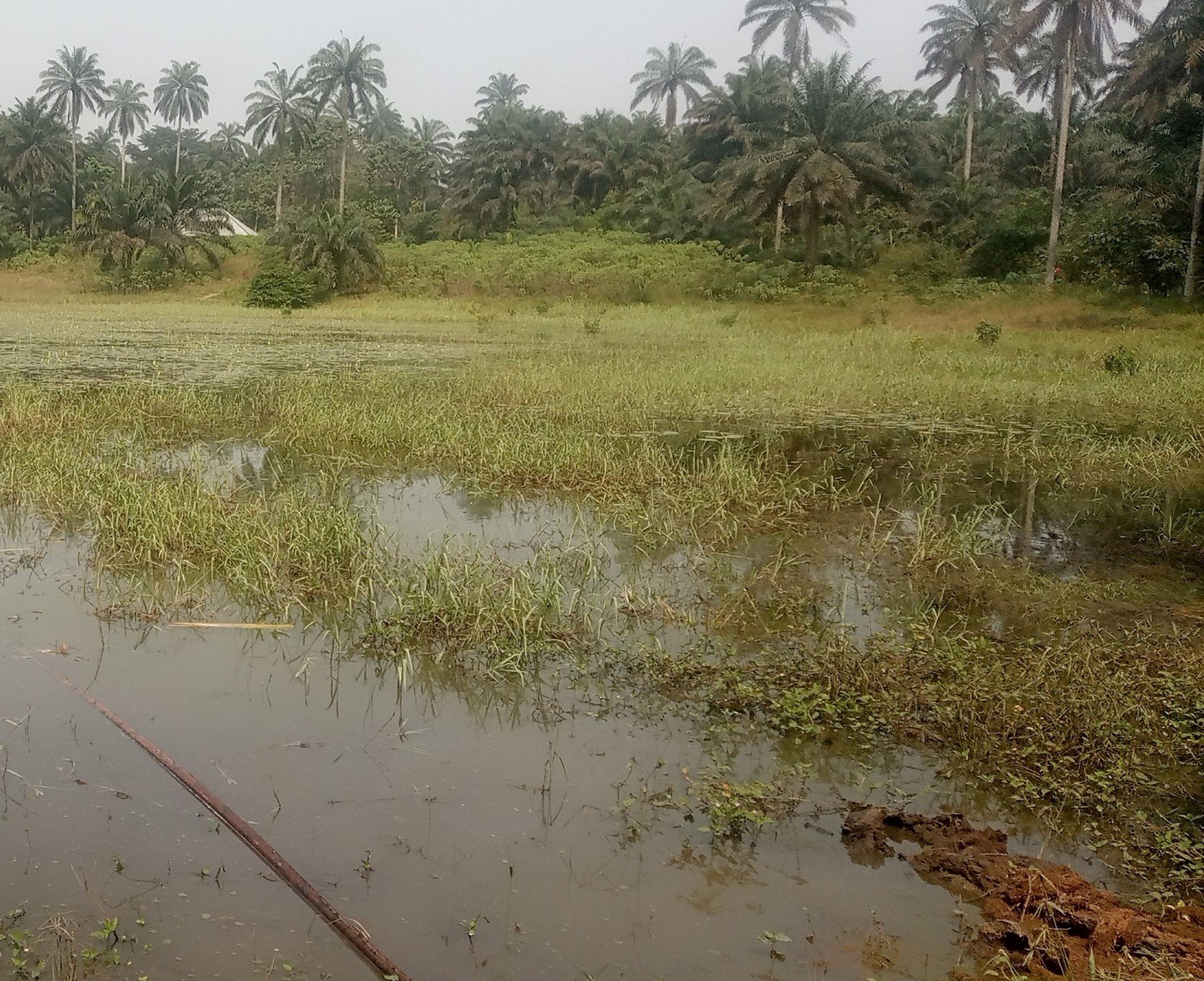 Update: Body of man surfaces three days after he 