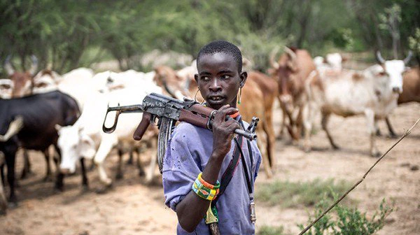 These Pictures Of Fulani Herdsmen Destroying Crops Will Make You Understand Why Sunday Igboho Is Angry