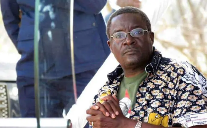 Ibbo Mandaza’s Mugabe lecture hacked, pornographic material posted, CIO, Charamba blamed